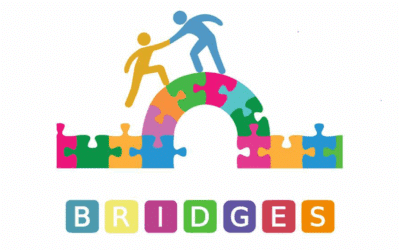 B.R.I.D.G.E.S. GRANT