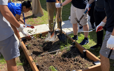 Cypress Bay BRIDGES Home Depot Flower Garden CBI