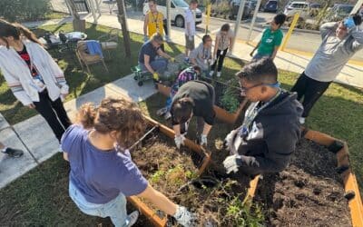 BRIDGES Students Cultivate Confidence Through Gardening
