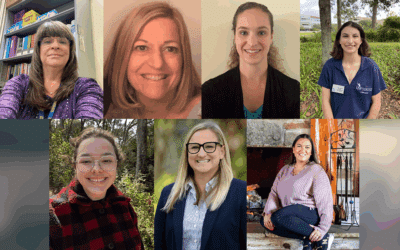 Mentorship Month