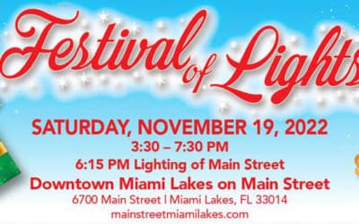 37TH Annual Main Street Festival of Lights